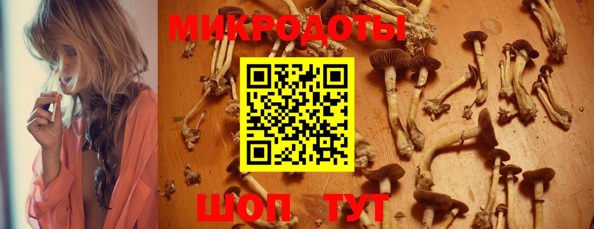 Псилоцибиновые грибы прущие грибы Алексеевка